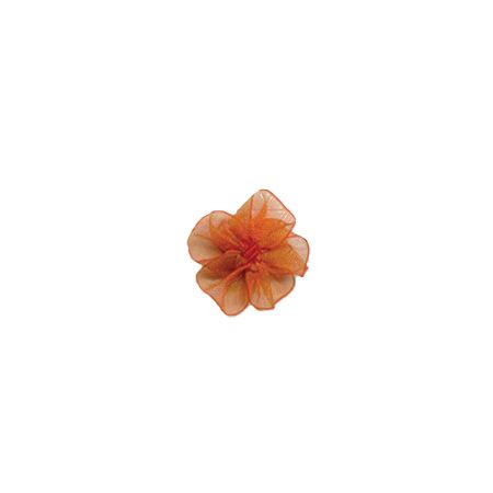 Blomst, orange